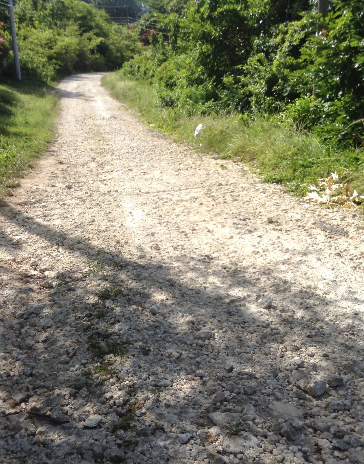 Lonely path of chronic illness