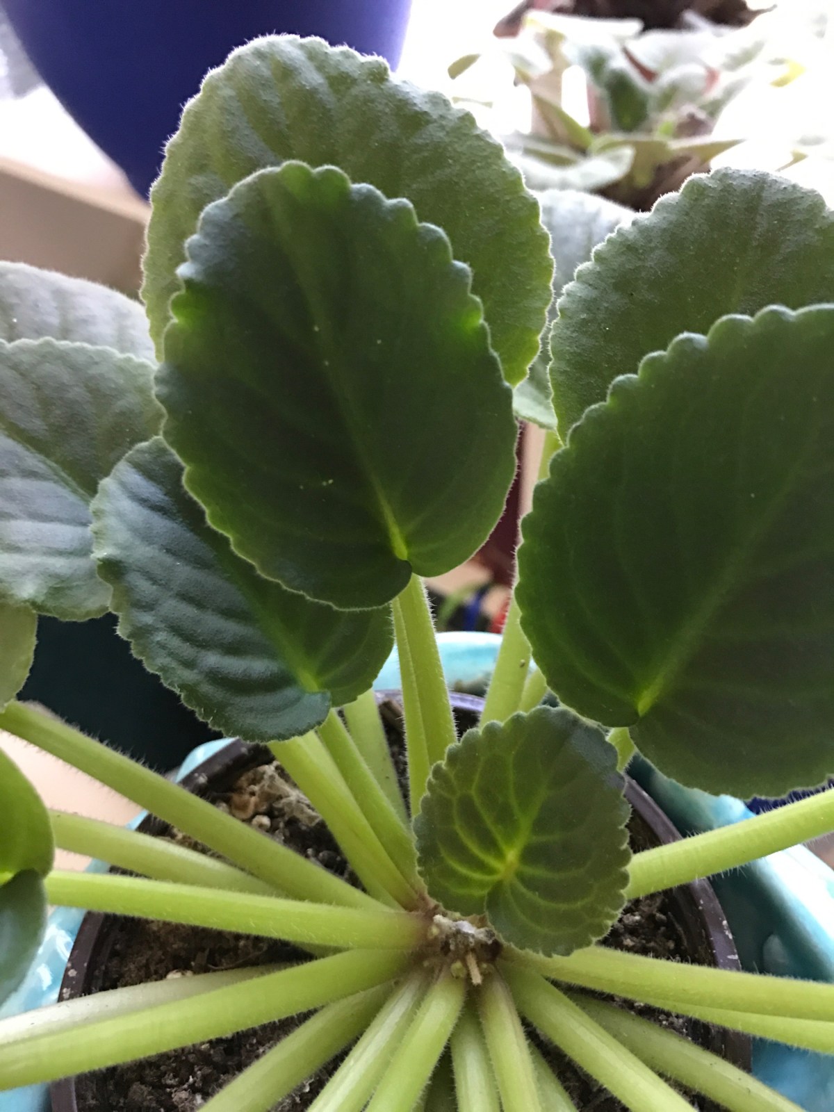 We need to be needed