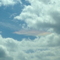 Gratitude, love, and health