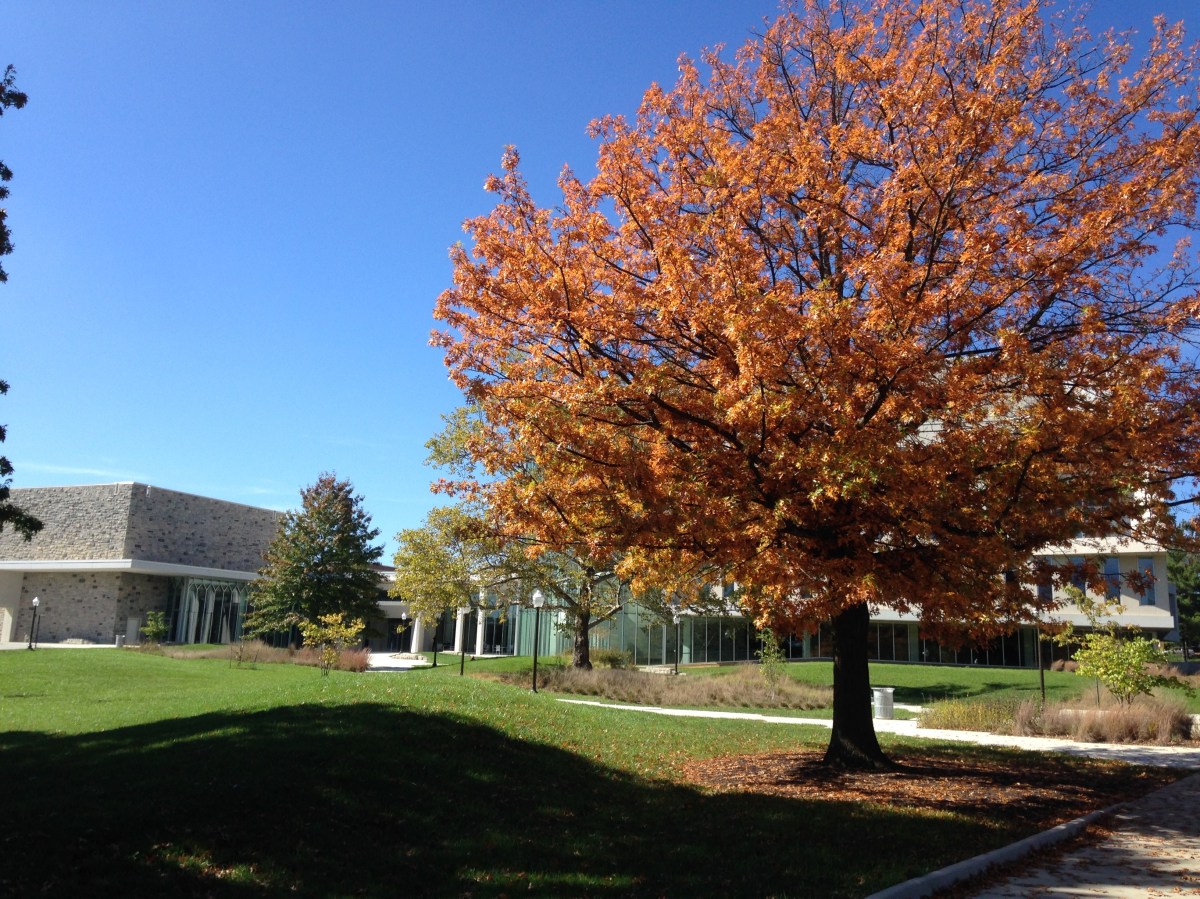 Prevent falls; manage changes